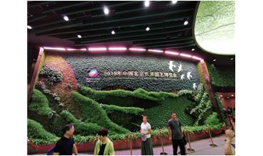 2019北京世園會，我們來啦