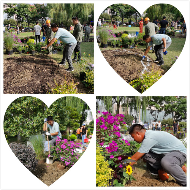 H:\施工過(guò)程.jpg H:\施工過(guò)程.jpg